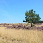 In Near Veluwe * Eerbeek