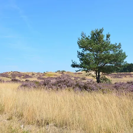 In Near Veluwe * Ирбик