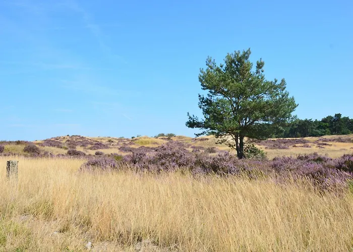 In Near Veluwe * Eerbeek