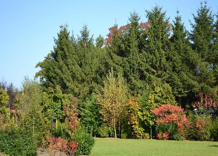 In Near Veluwe Tatil Evi Eerbeek