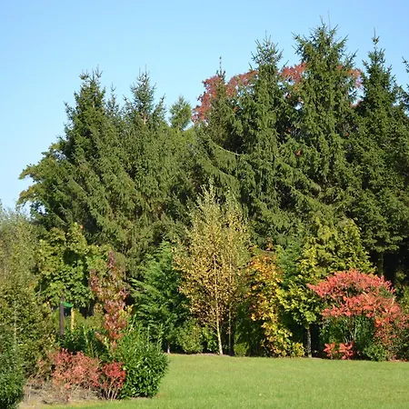 In Near Veluwe Feriehus Eerbeek
